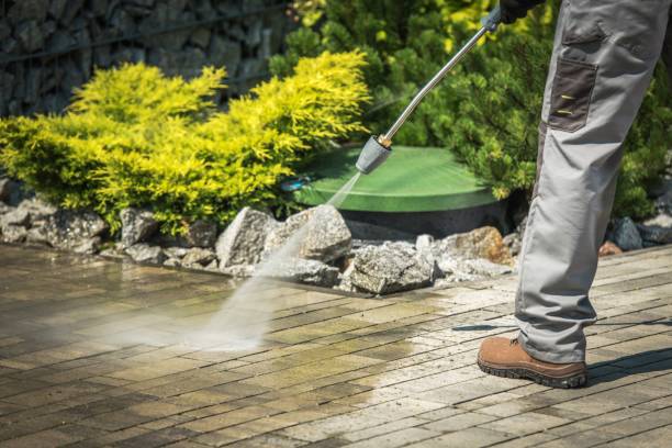 Animal Enclosure Cleaning in Monroeville, OH